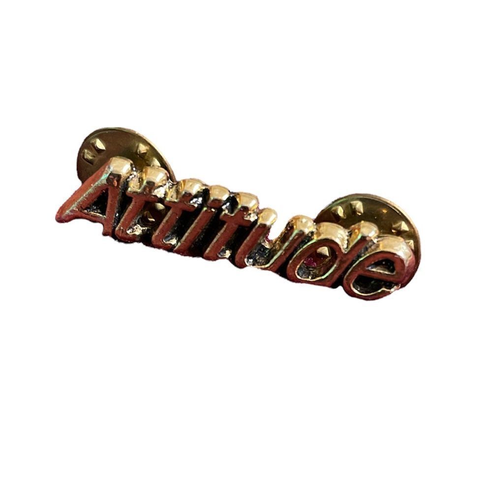 Attitude Pin   - Picture 3 of 4